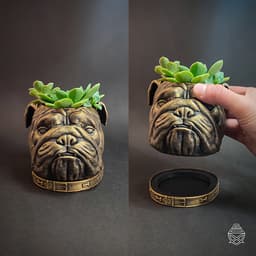 English Bulldog 3d model