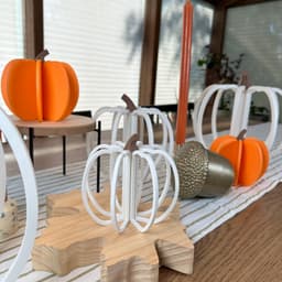 Hallow Pumpkin Slices 3d model