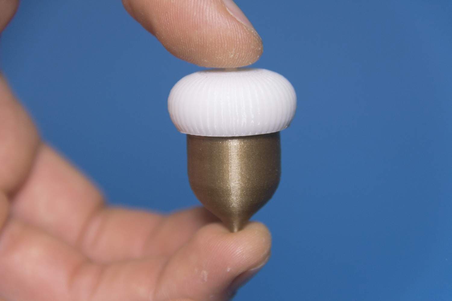 Small Acorntainers // Secret Containers 3d model