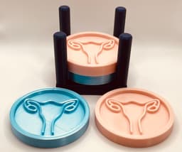 Uterus Coaster and Holder 3d model