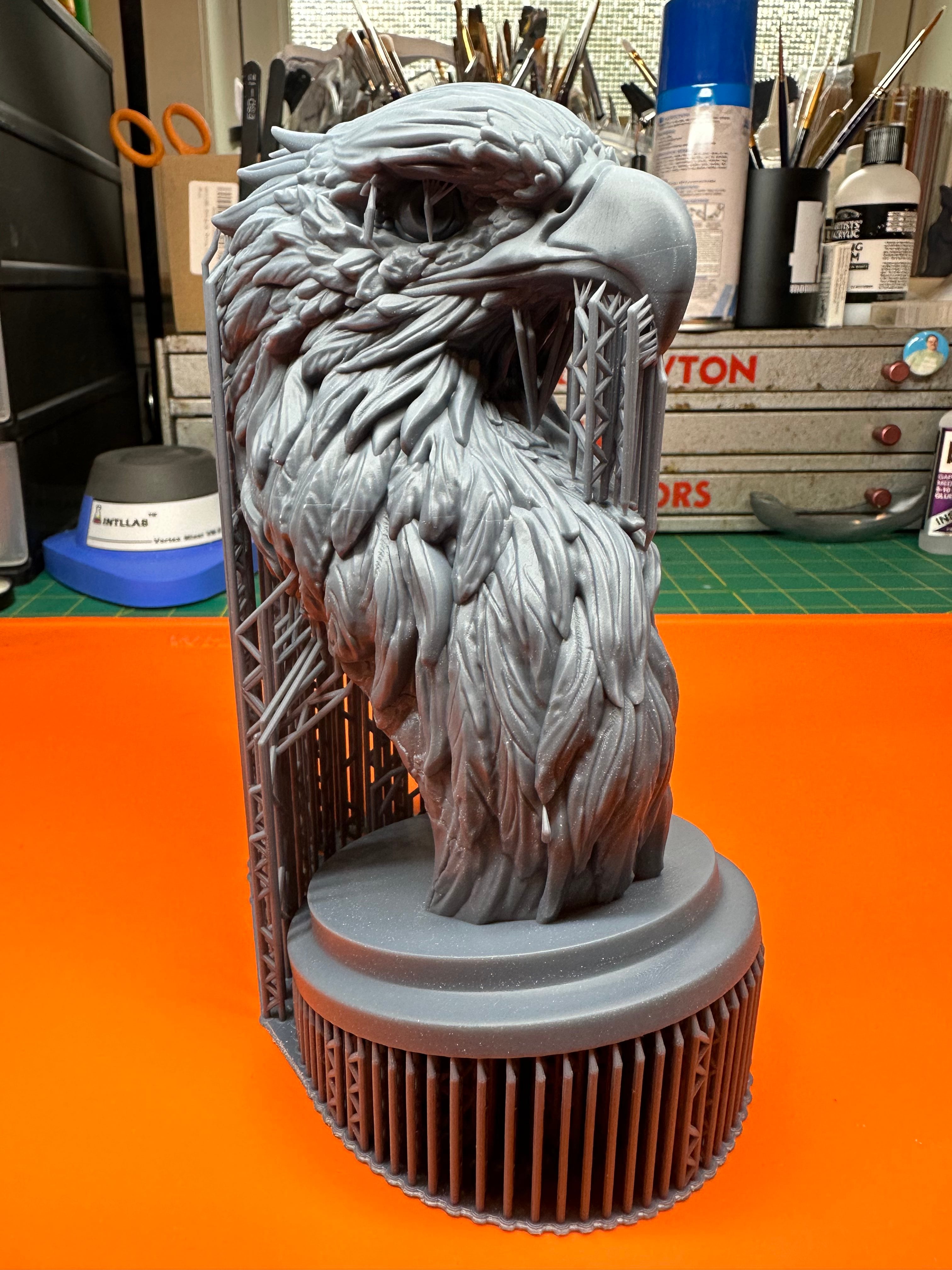 Bald Eagle (Pre Supported) 3d model