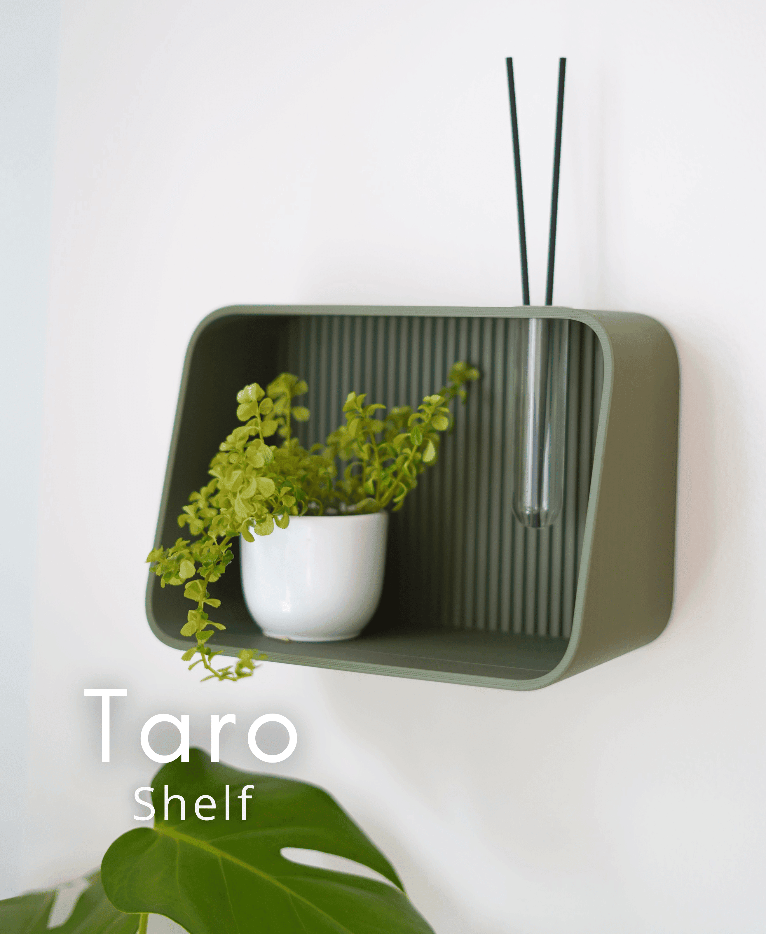 Taro Shelf 3d model