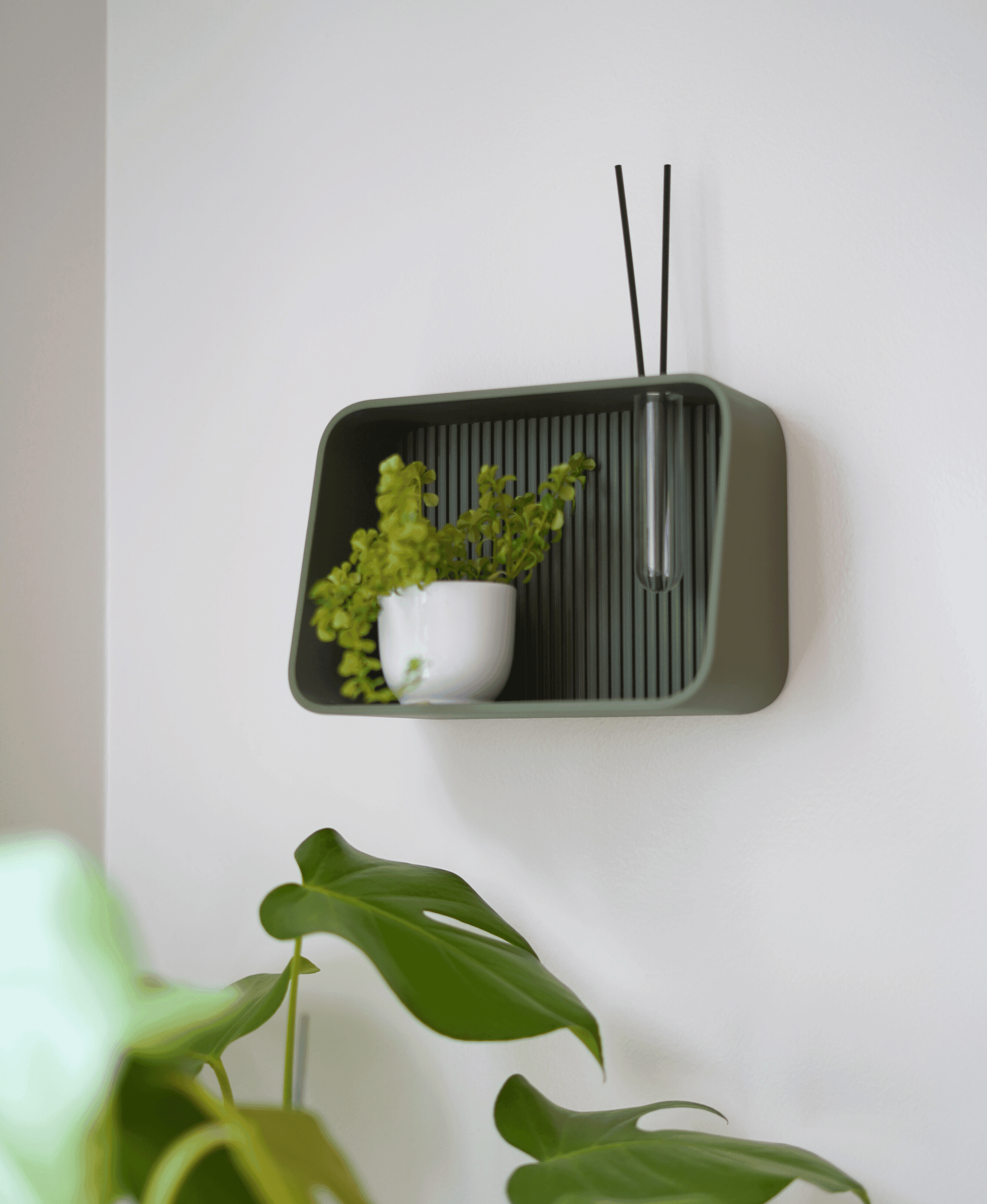 Taro Shelf 3d model