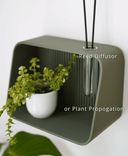 Taro Shelf 3d model