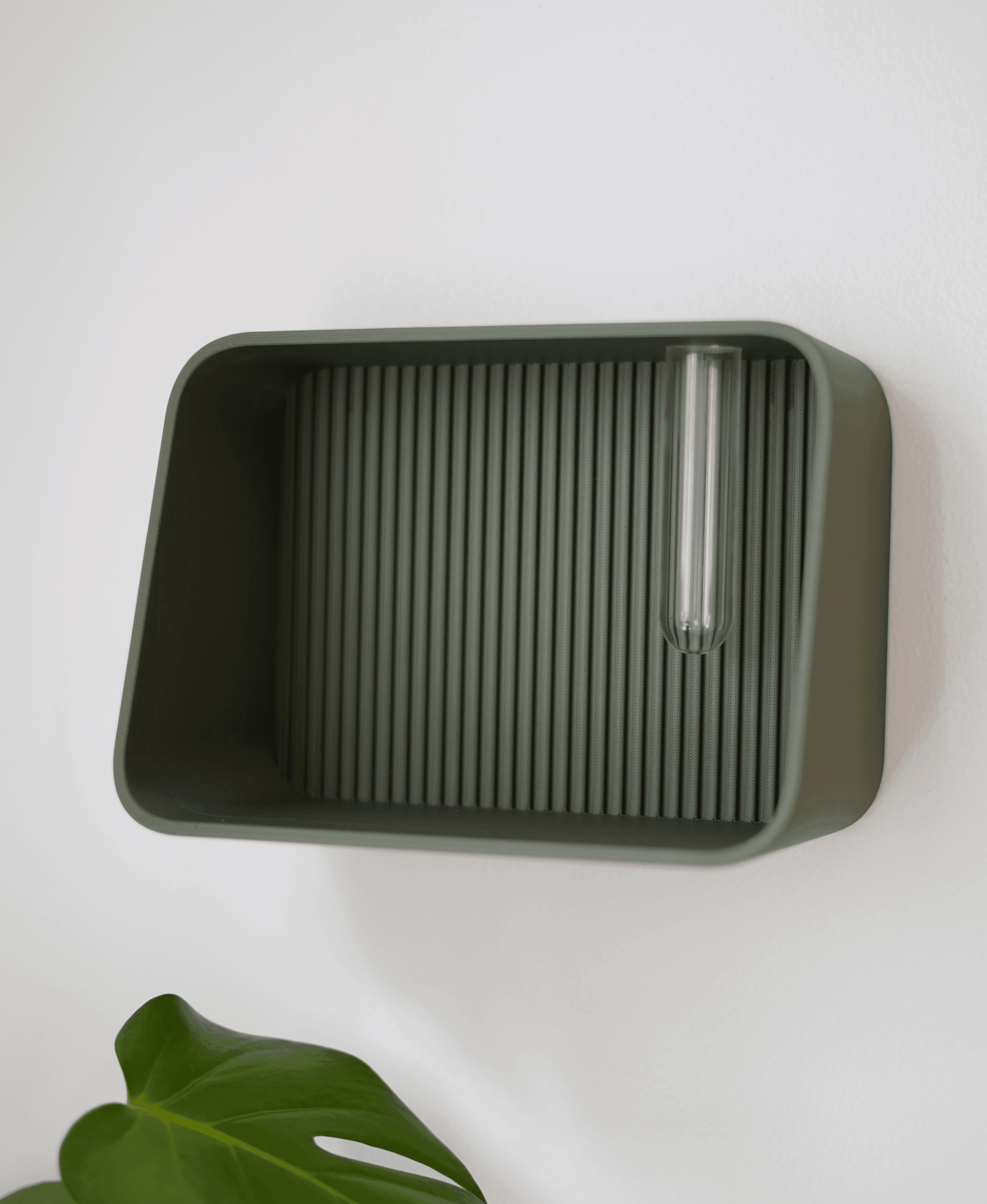 Taro Shelf 3d model