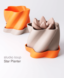 Star Planter 3d model