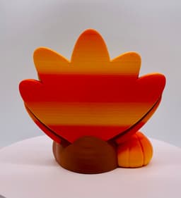 Boy Turkey Gnome 2024 3d model