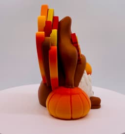 Boy Turkey Gnome 2024 3d model