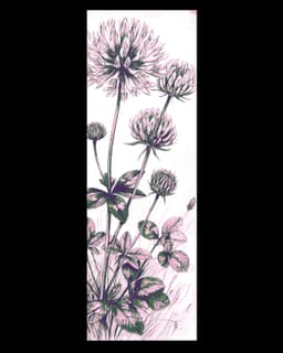 Botanical Beauty - Set of Bookmarks of Flowers 3d model