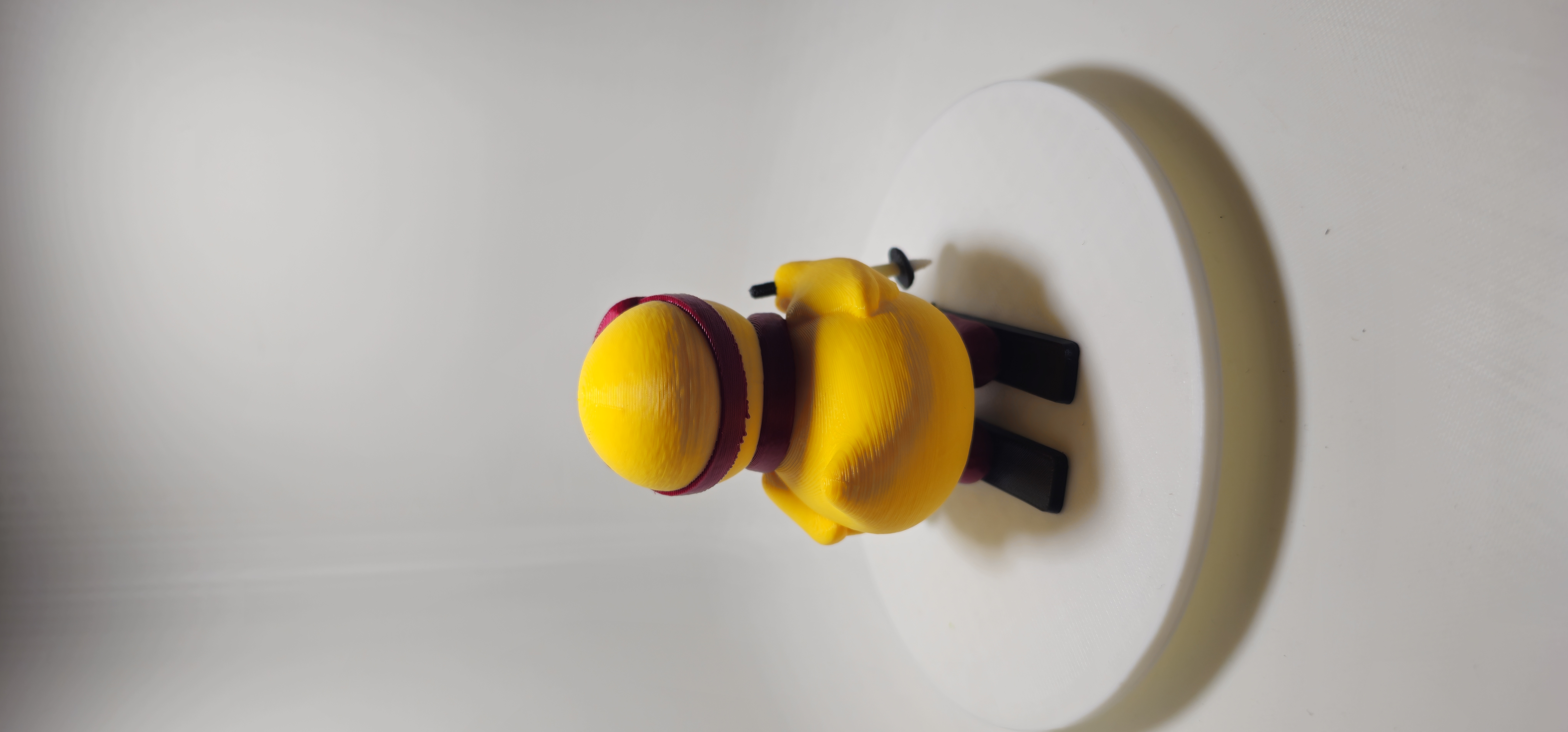 Ski Duck 3d model
