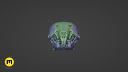 Mouse Skull (Mus Musculus) 3d model