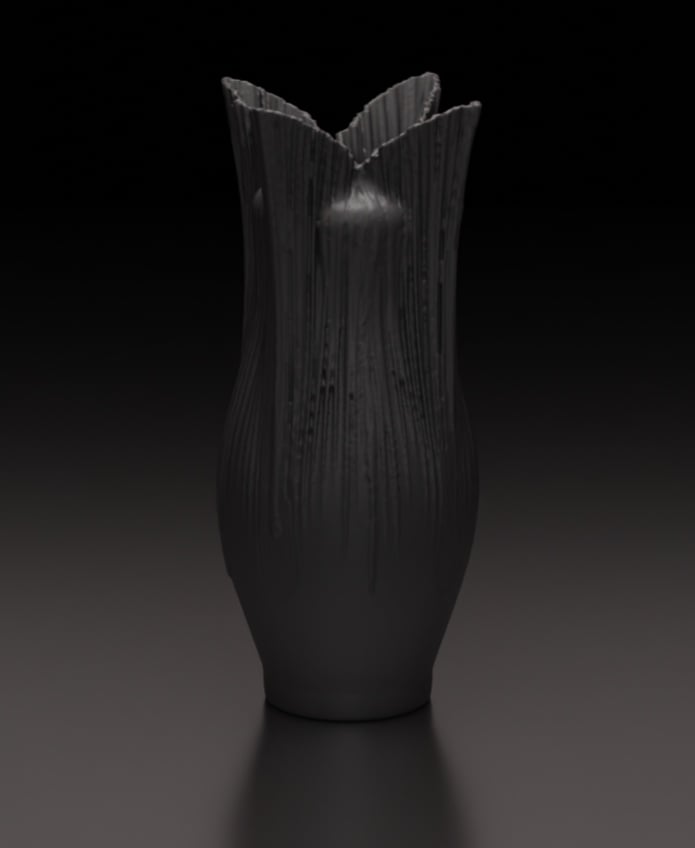Velum 3d model