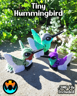 Tiny Hummingbird 3d model