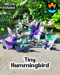 Tiny Hummingbird 3d model