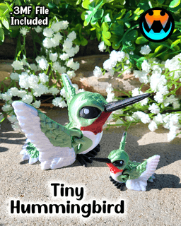 Tiny Hummingbird 3d model