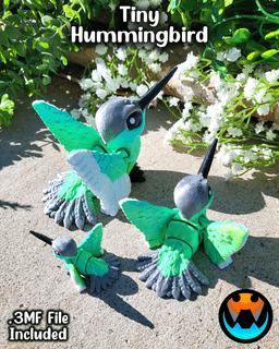 Tiny Hummingbird 3d model