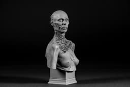 Famine Bust 4 Horsemen (Pre Supported) 3d model