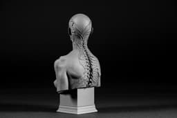 Famine Bust 4 Horsemen (Pre Supported) 3d model