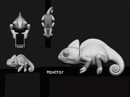 Chameleon for Monitor Climb 3d model
