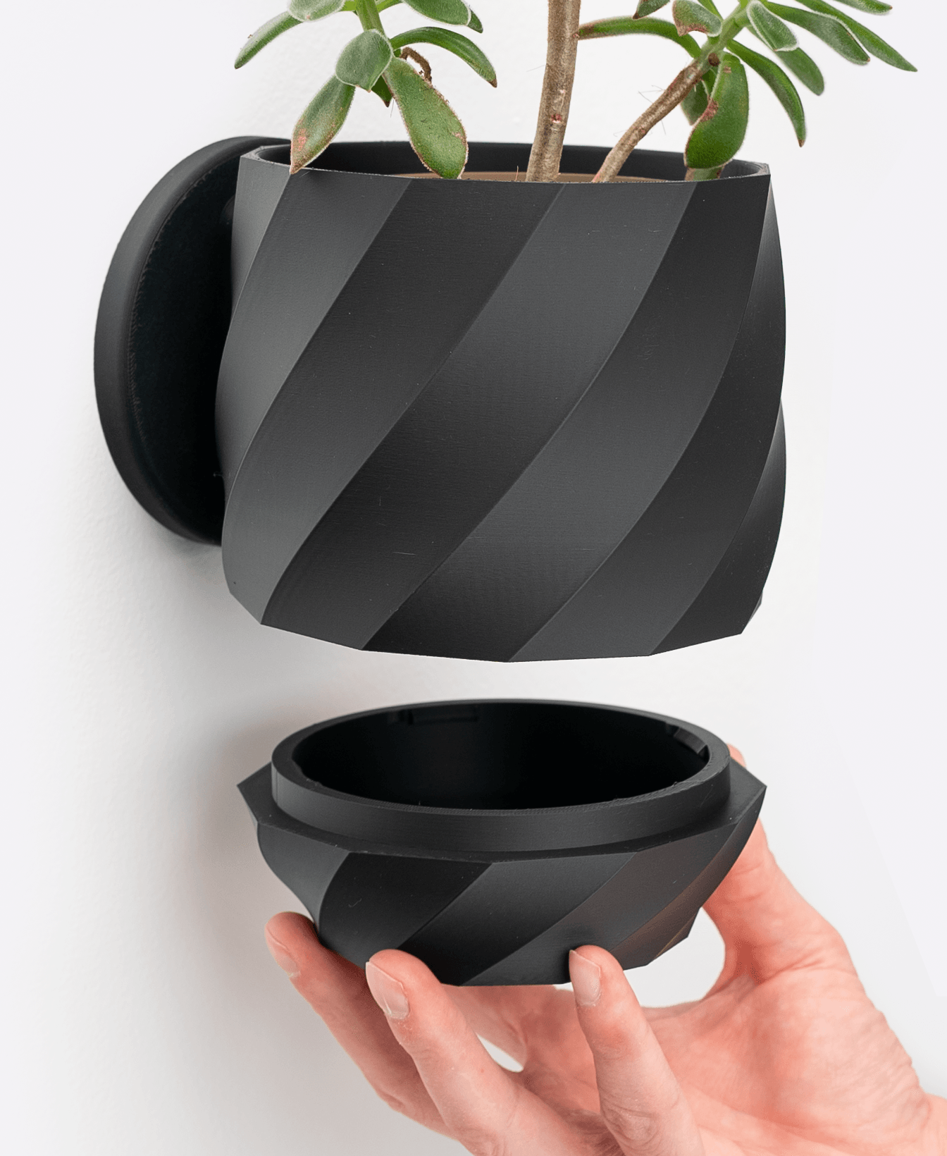 Twisted Planter 3d model