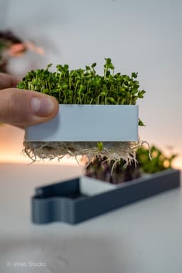 GreensMate | Modular Microgreens Self Watering System 3d model