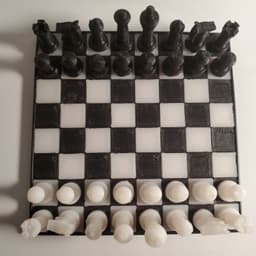 Mini Magnetic Chess 3d model