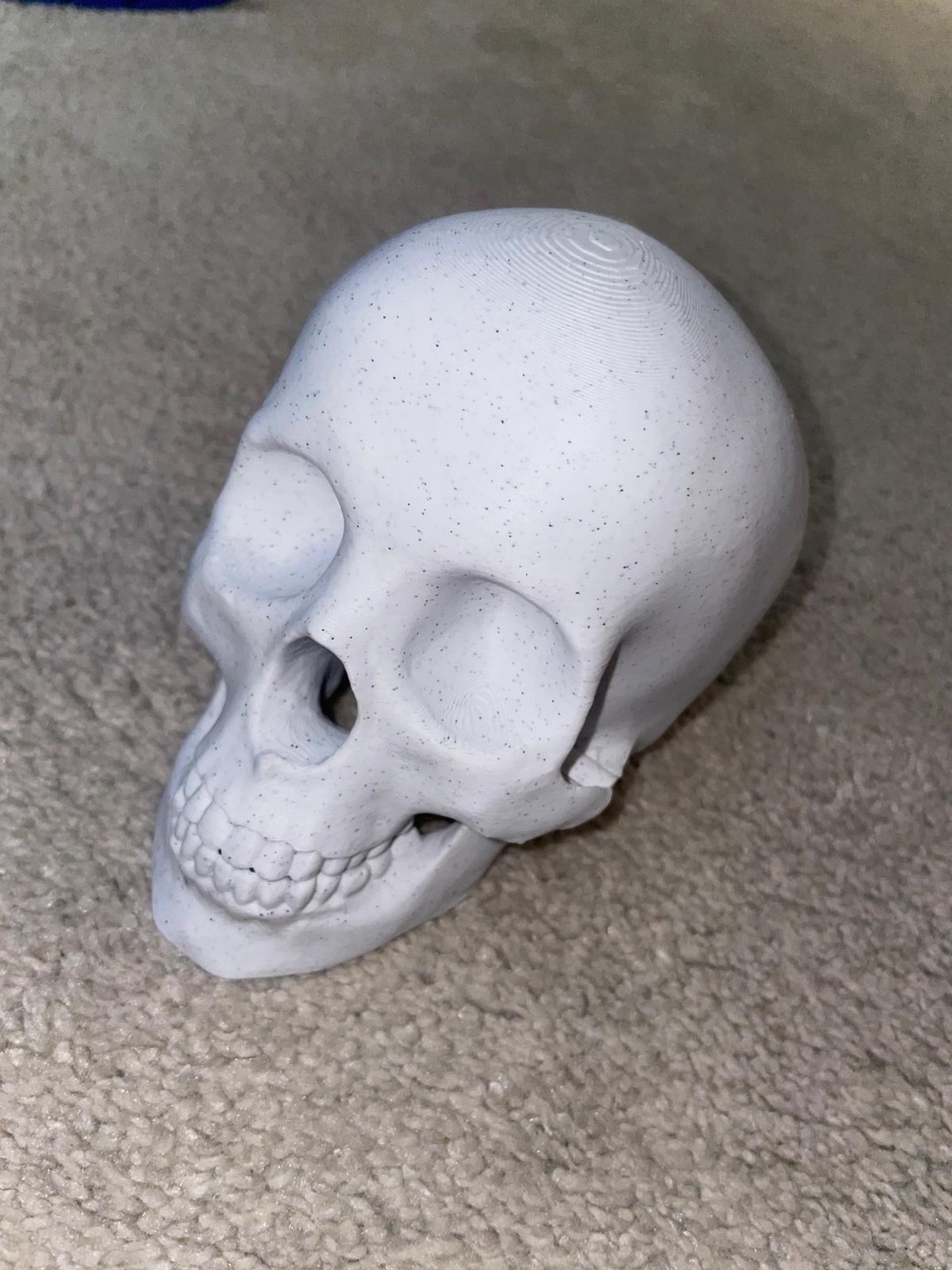 Human skull with moving Jaw.3mf 3d model