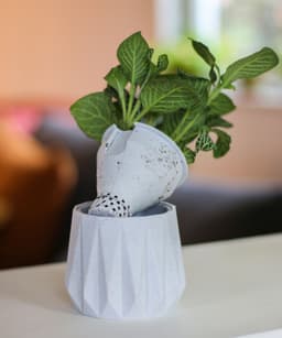 Self Watering Planter - Surface 3d model