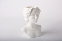 Classic Muse Head Vase - Serene Home Decor 3d model