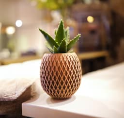 Pineapple Lattice Planter with Hidden Drip Tray 3d model