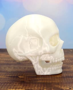Spooky Skull Halloween decor 3d model