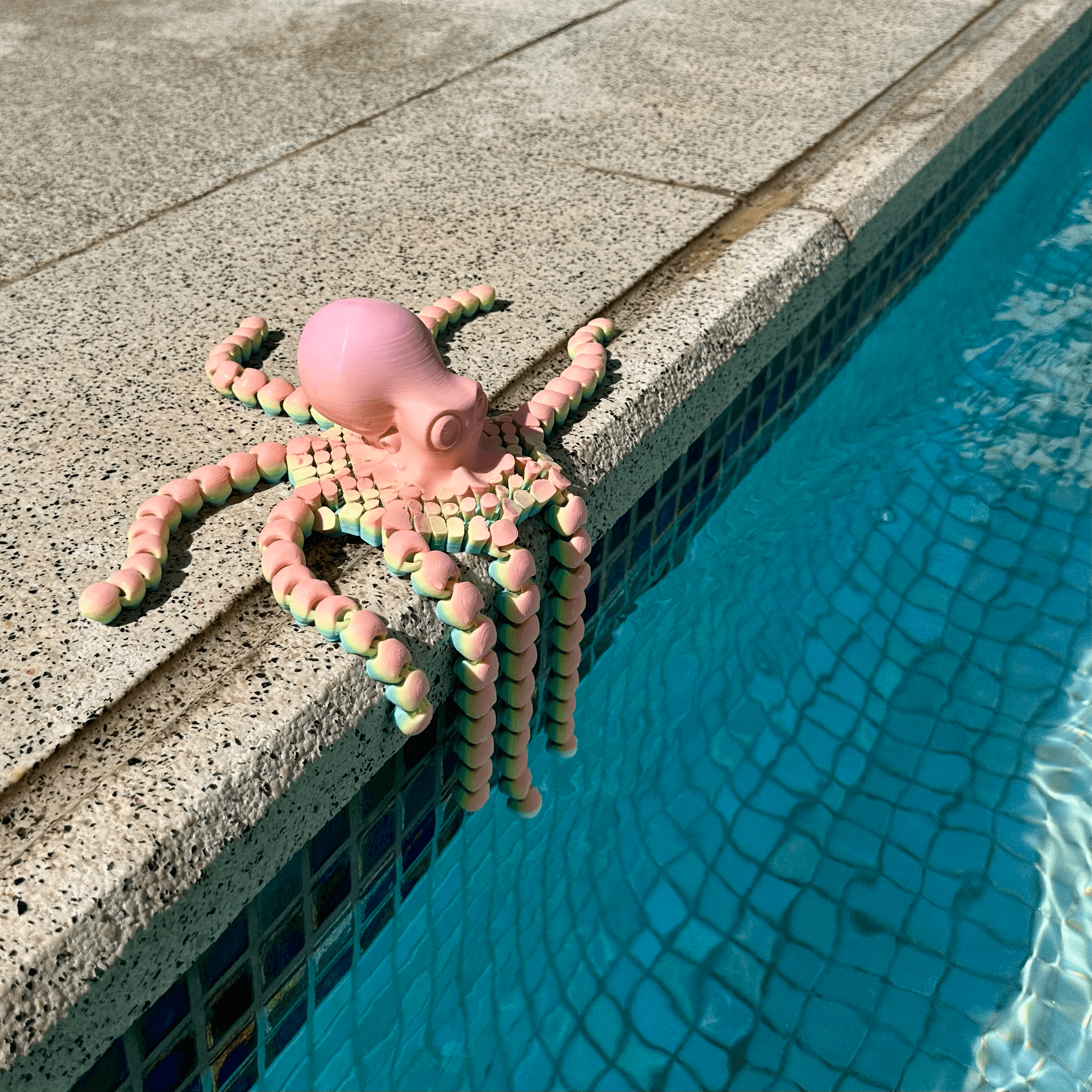 Flexi Octopus 3d model