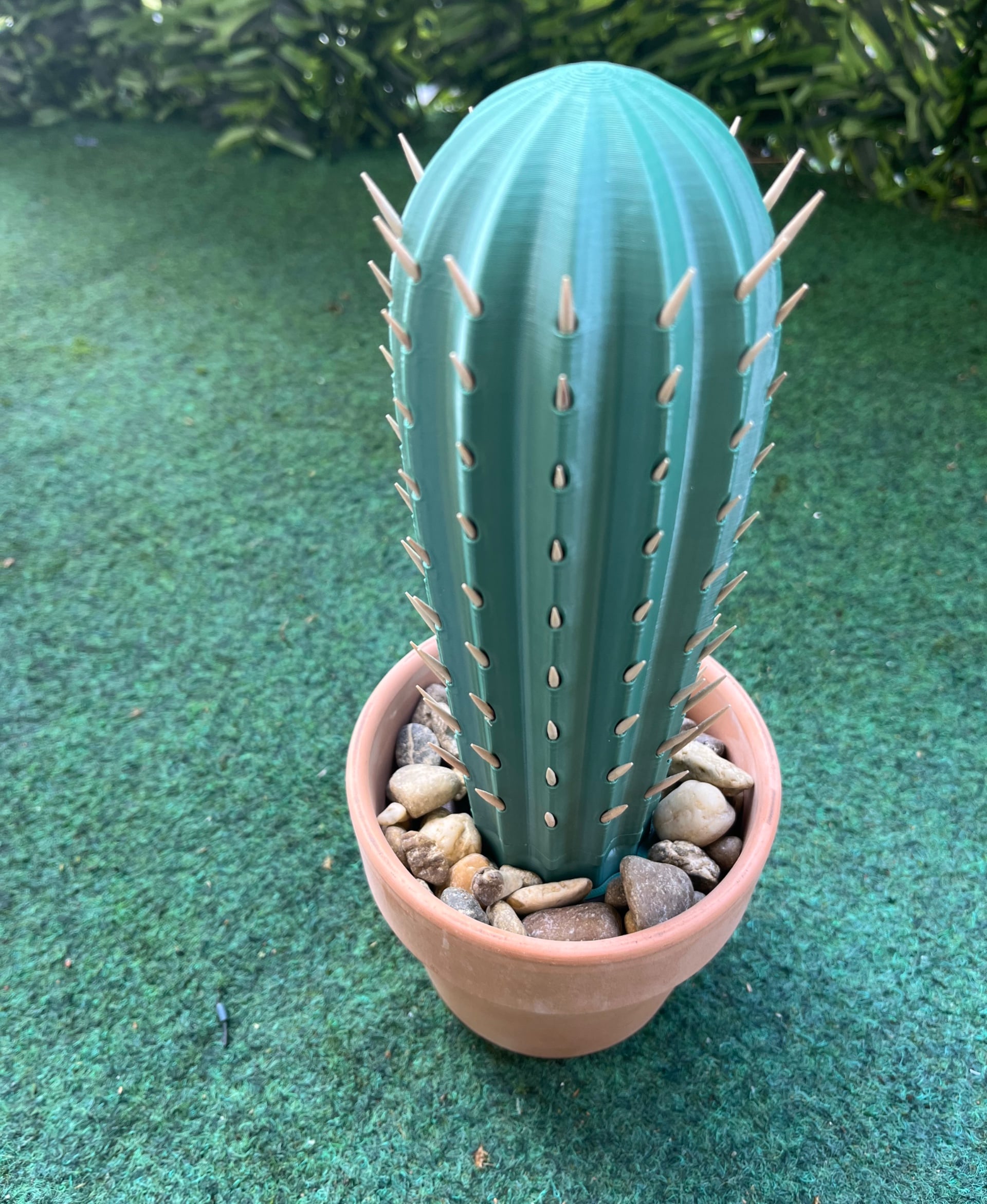 A1 Mini
(I had to cut the cactus in bambustudio - it worked without any problems.
