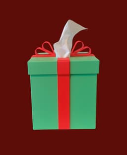Christmas Present Tissue Box Cover 3d model