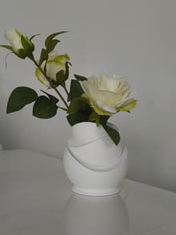 Waveform Harmony Vase 3d model