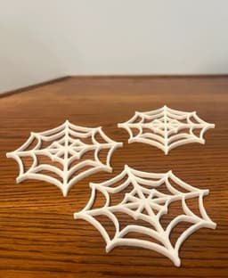 Spider Web Coaster 3d model