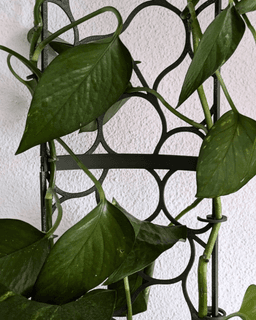Modular Trellis Lattice01 3d model