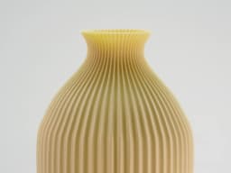 Poly Vase -V5 3d model