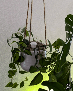 Insert Self-watering Pot 3d model