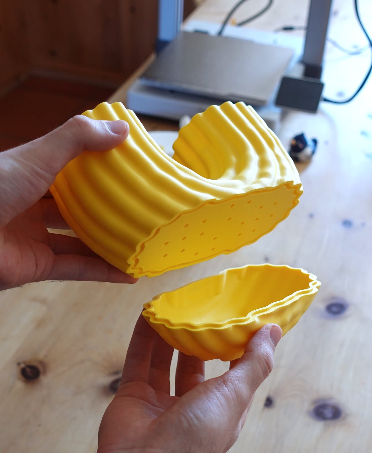 Pasta Planter Macaroni 3d model