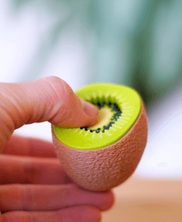 Ludo Kiwi Clicker - Kiwi Fidget Clicker - 3d printed 3d model