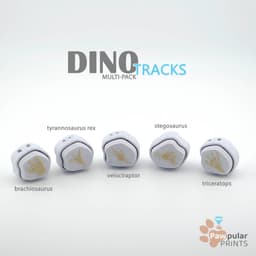 Dino Tracks 3d model