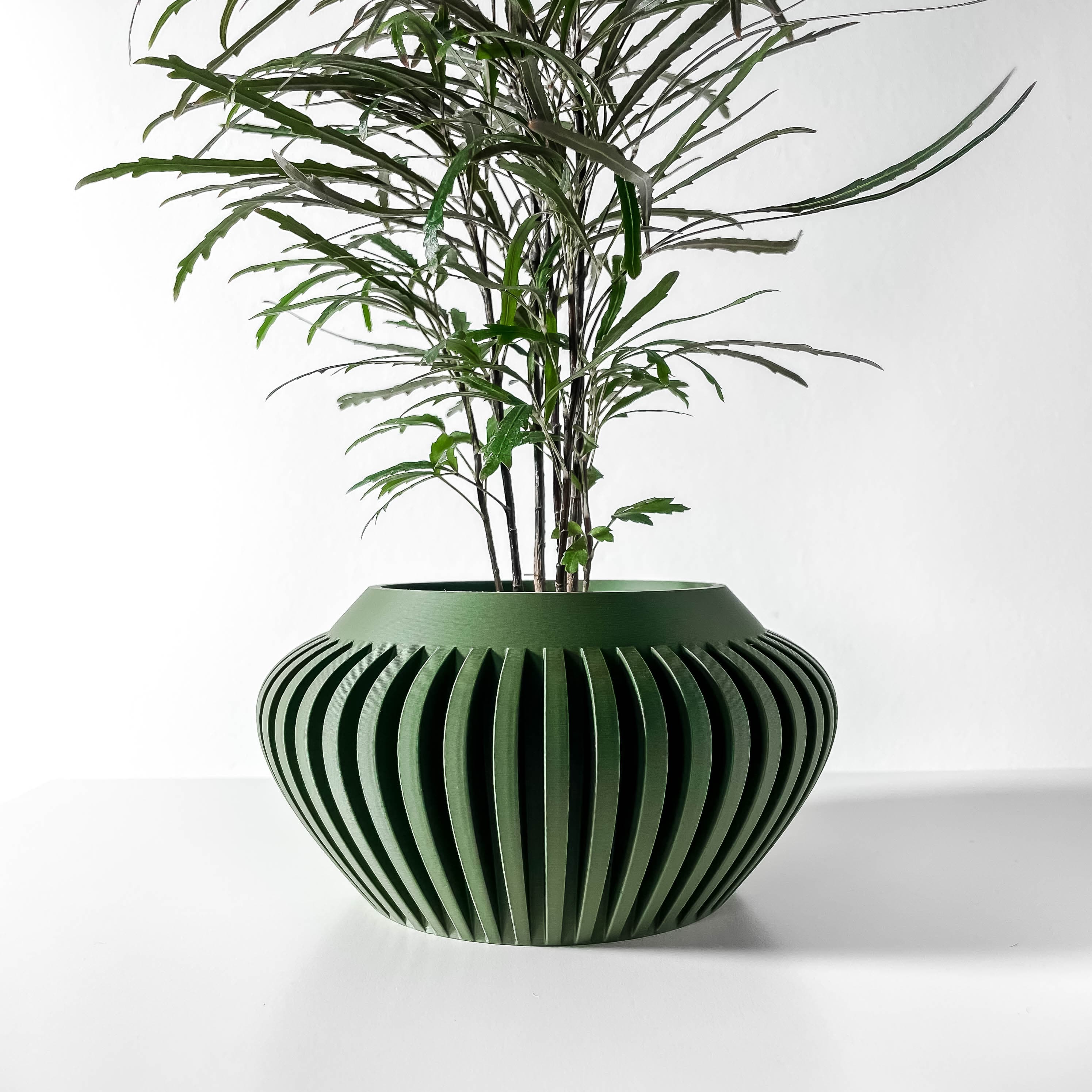 The Caios Planter Pot with Drainage Tray & Stand: Modern and Unique Home Decor for Plants 3d model