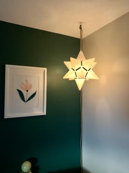 12 Point Star Lamp 3d model