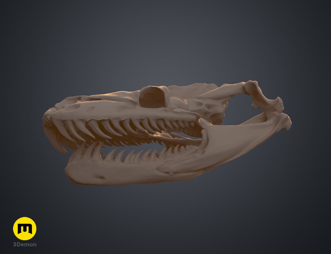 Python Snake Skull 3d model