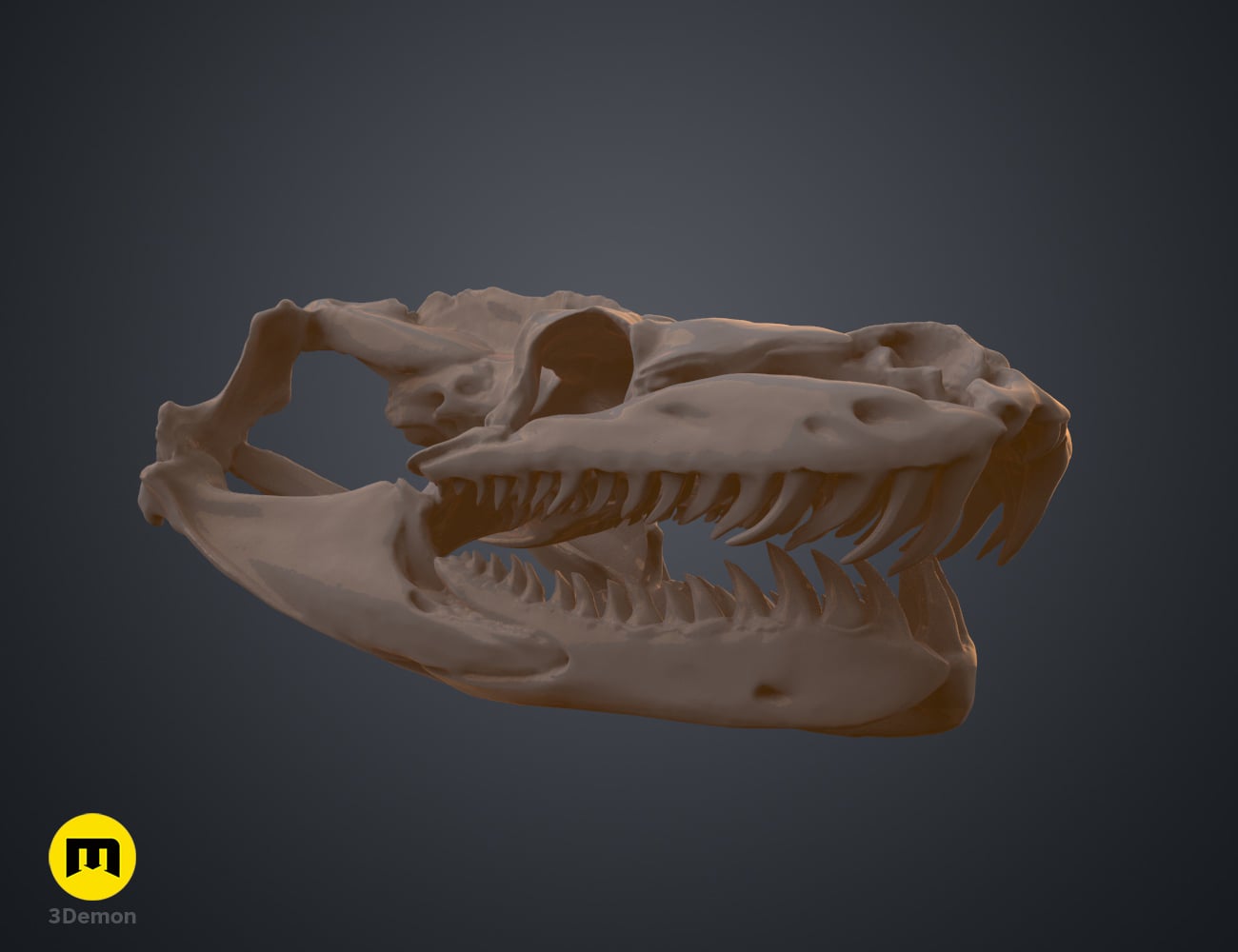 Python Snake Skull 3d model