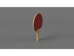 Ping Pong Paddle 3d model