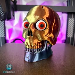 The Staring Skull 3d model
