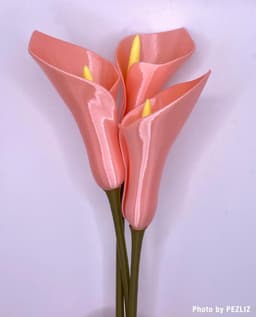 Calla Lily Flower (Vase Mode) 3d model