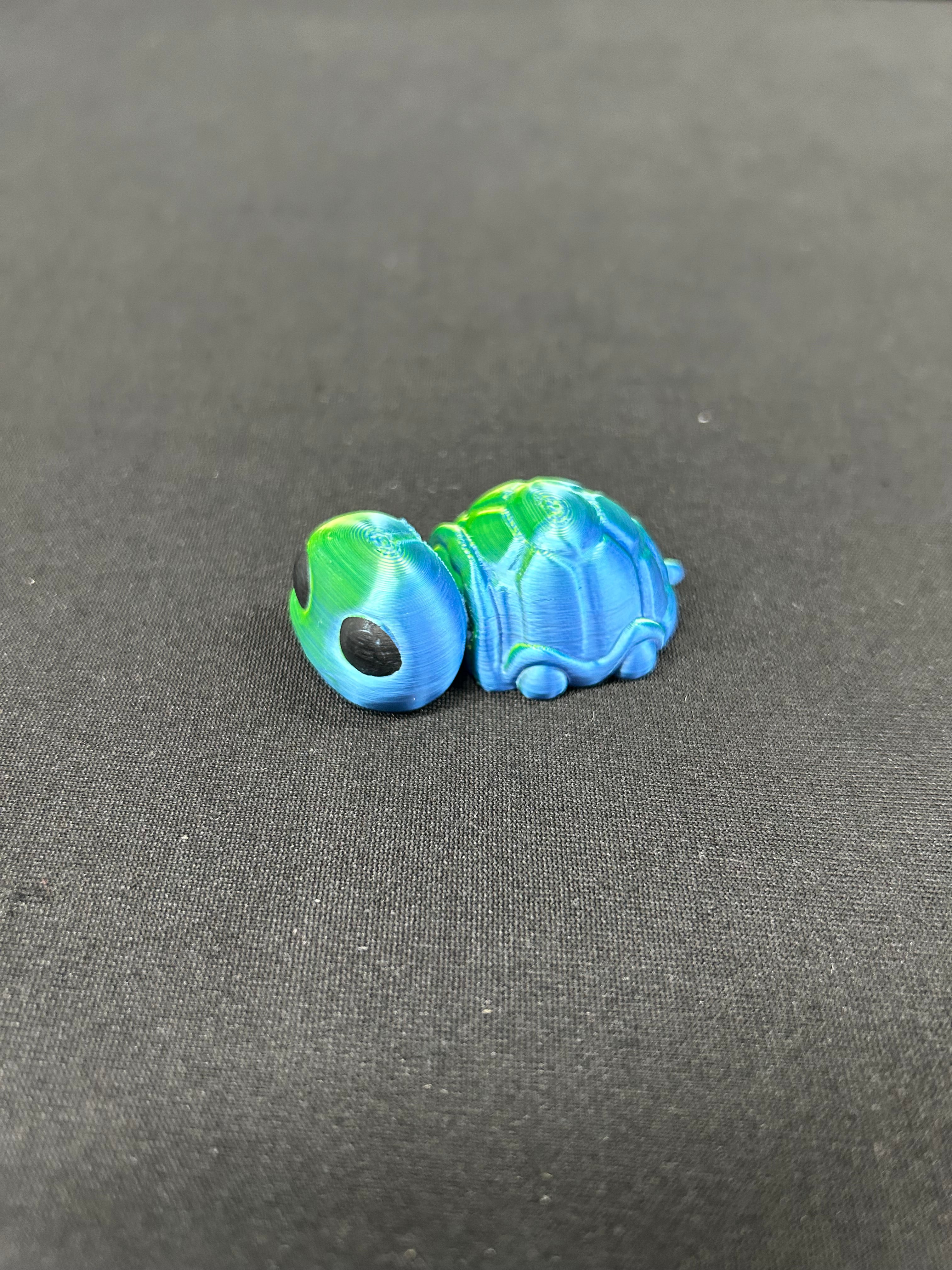 Small Turtle 3d model